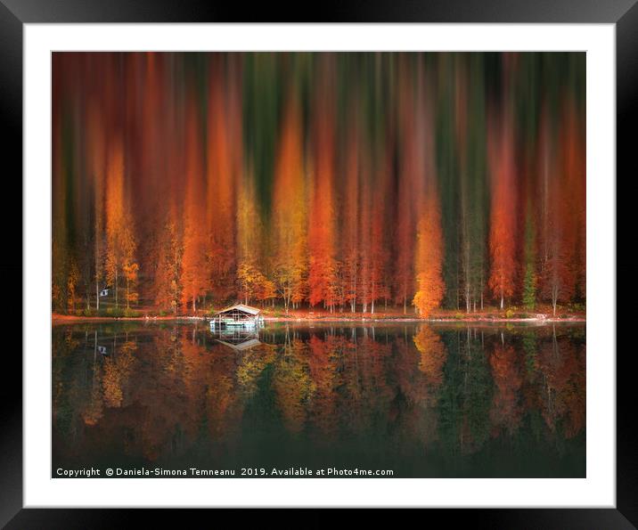 Motion blur autumn forest and water reflection Framed Mounted Print by Daniela Simona Temneanu