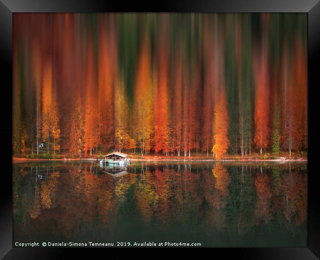 Motion blur autumn forest and water reflection Framed Print by Daniela Simona Temneanu