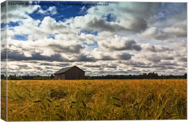 Barn House In The Middle Of The Rye Field Canvas Print by Jukka Heinovirta