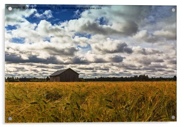 Barn House In The Middle Of The Rye Field Acrylic by Jukka Heinovirta