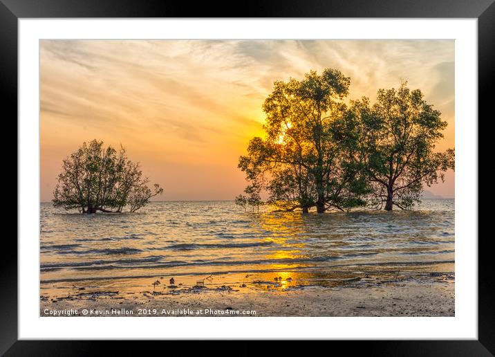 Sunrise over mangrove trees Framed Mounted Print by Kevin Hellon