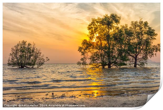 Sunrise over mangrove trees Print by Kevin Hellon
