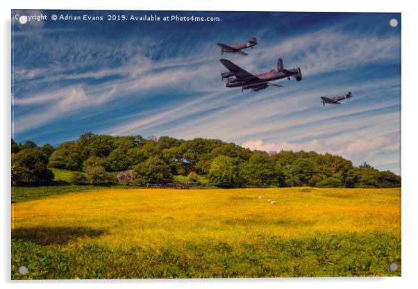 Battle of Britain Memorial Flight  Acrylic by Adrian Evans