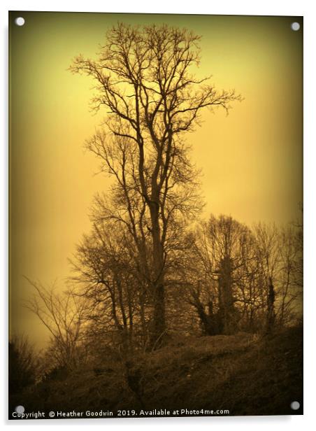 Lone Tree Acrylic by Heather Goodwin