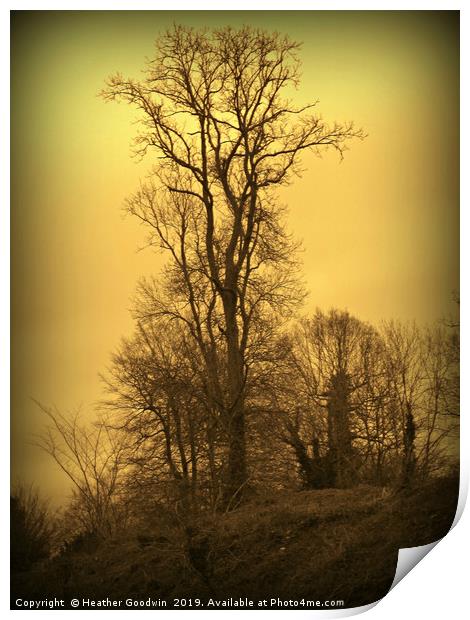 Lone Tree Print by Heather Goodwin