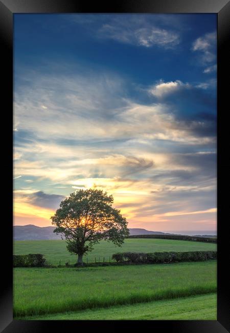 Lone tree sunset Framed Print by Jonathan Thirkell