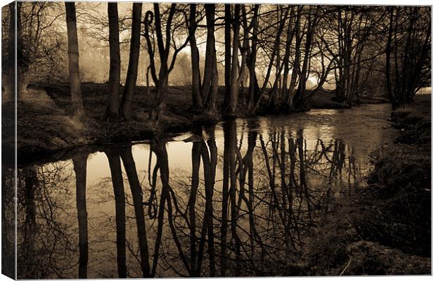 Reflections Canvas Print by S Fierros