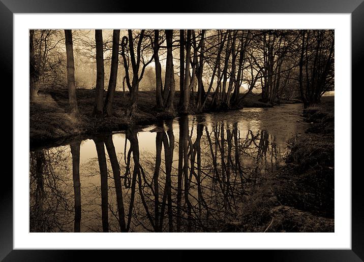 Reflections Framed Mounted Print by S Fierros