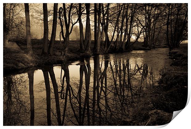Reflections Print by S Fierros