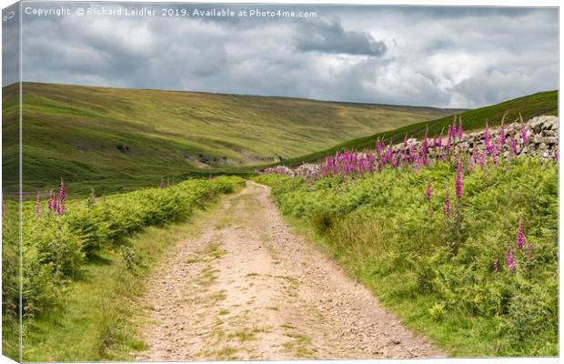 Track to Hudeshope Head, Teesdale Canvas Print by Richard Laidler