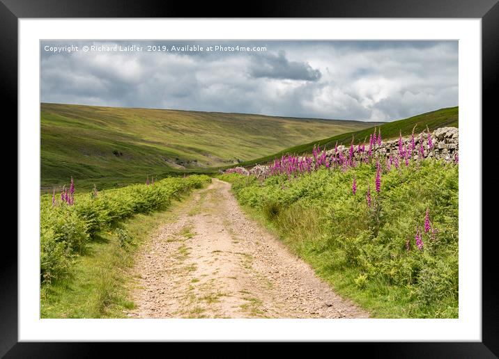 Track to Hudeshope Head, Teesdale Framed Mounted Print by Richard Laidler