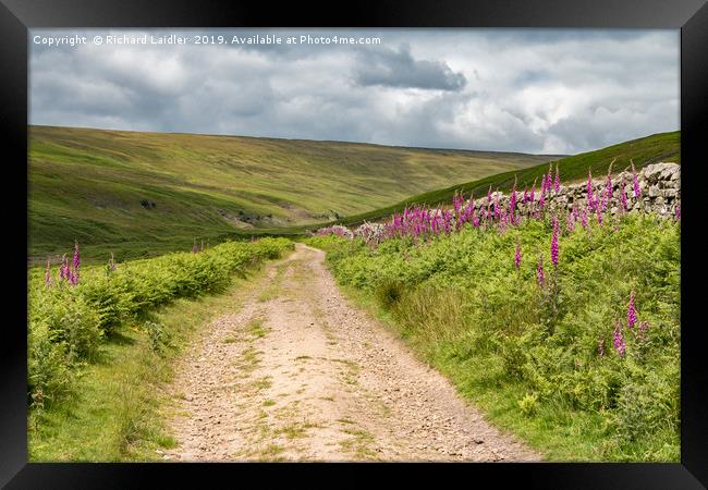 Track to Hudeshope Head, Teesdale Framed Print by Richard Laidler
