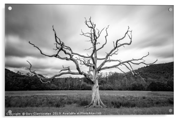 The Dead Tree Acrylic by Gary Clarricoates