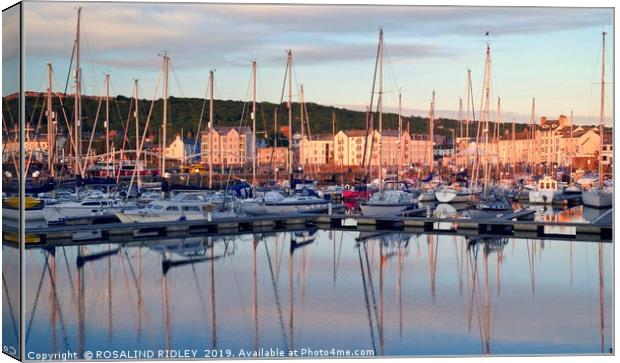 "Evening light reflections at Whitehaven marina" Canvas Print by ROS RIDLEY