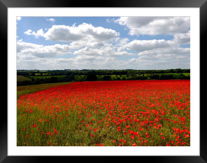 Poppy field landscape Framed Mounted Print by Jason Williams