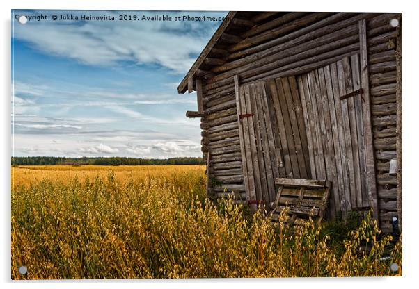 Barn Doors And Rye Field Acrylic by Jukka Heinovirta