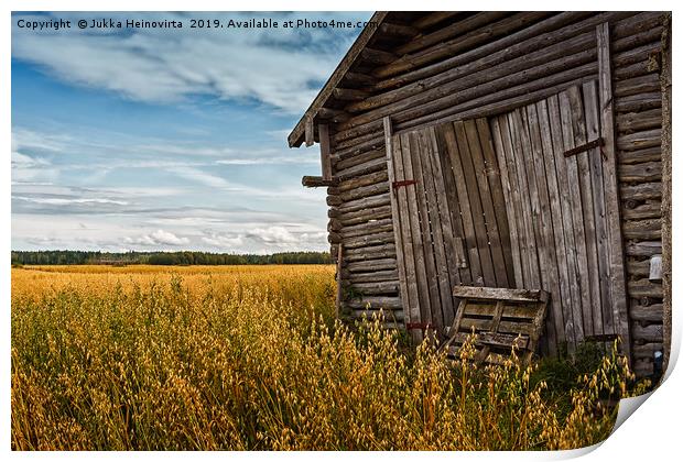 Barn Doors And Rye Field Print by Jukka Heinovirta