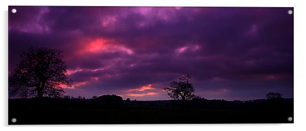 Sunset over windsor park Acrylic by Doug McRae