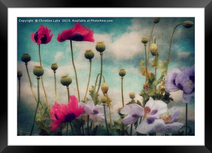 Poppies In The Countryside Framed Mounted Print by Christine Lake