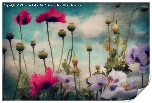 Poppies In The Countryside Print by Christine Lake