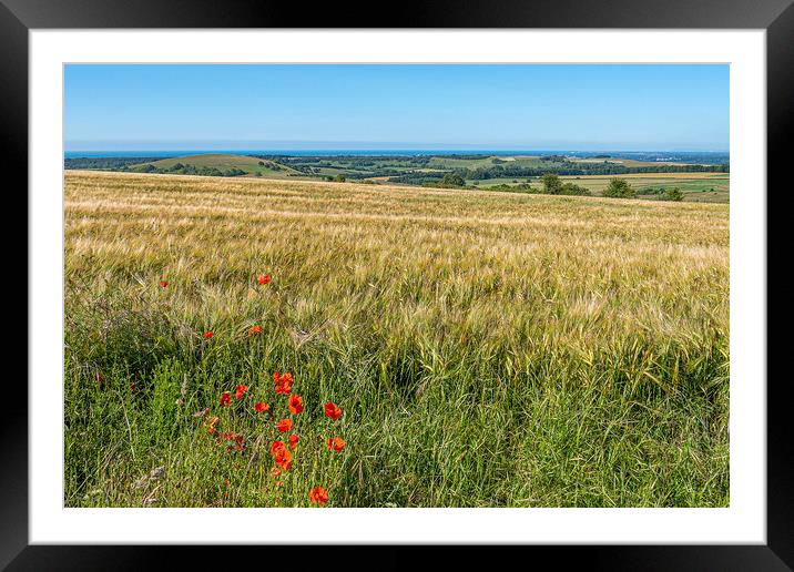 Downland Red Framed Mounted Print by Malcolm McHugh