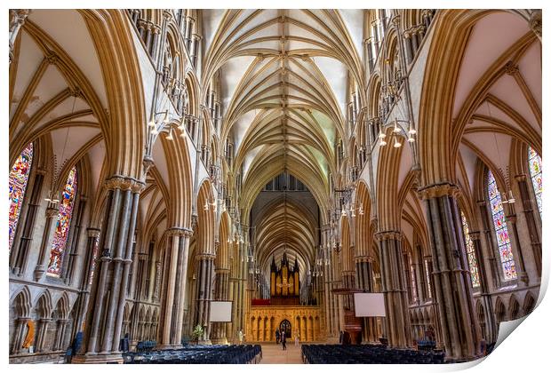 Lincoln Cathedral Print by Tony Bates