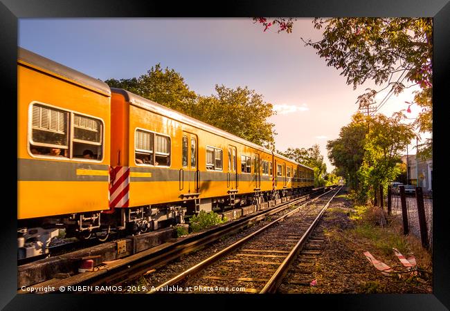 Electric train in Buenos Aires, Argentina. Framed Print by RUBEN RAMOS
