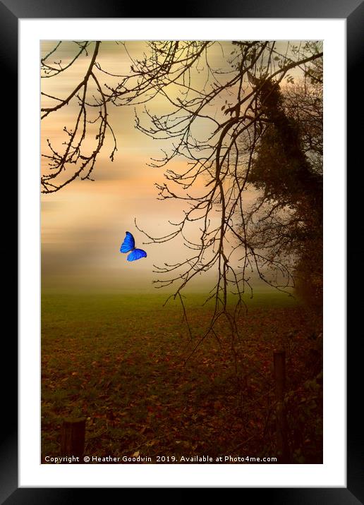 Blue on a Misty Morning Framed Mounted Print by Heather Goodwin