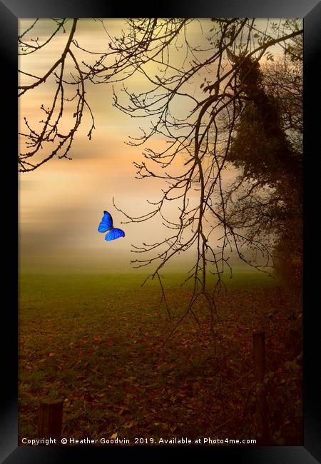Blue on a Misty Morning Framed Print by Heather Goodwin