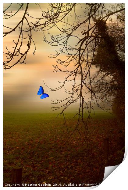 Blue on a Misty Morning Print by Heather Goodwin