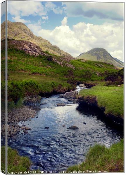 "Mountain stream in Wasdale" Canvas Print by ROS RIDLEY