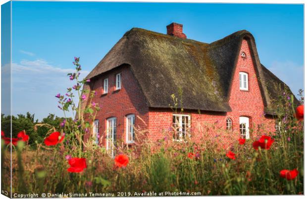 Red brick typical Frisian house and thatched roof Canvas Print by Daniela Simona Temneanu
