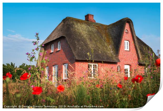 Red brick typical Frisian house and thatched roof Print by Daniela Simona Temneanu