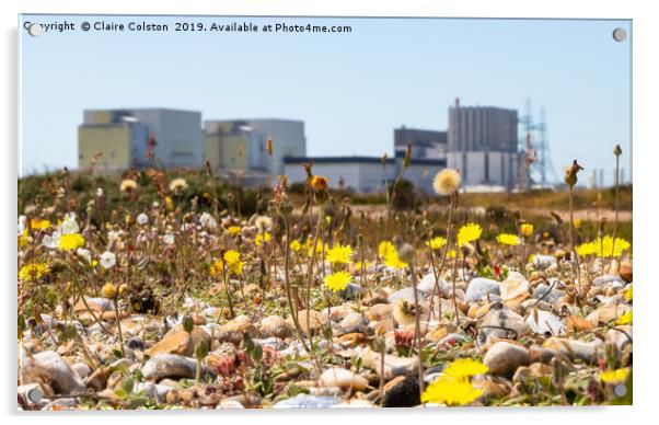 Wildflowers-Dungerness Power Station Acrylic by Claire Colston