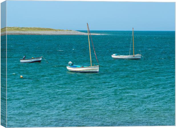 Boats moored at Appledore in North Devon Canvas Print by Tony Twyman