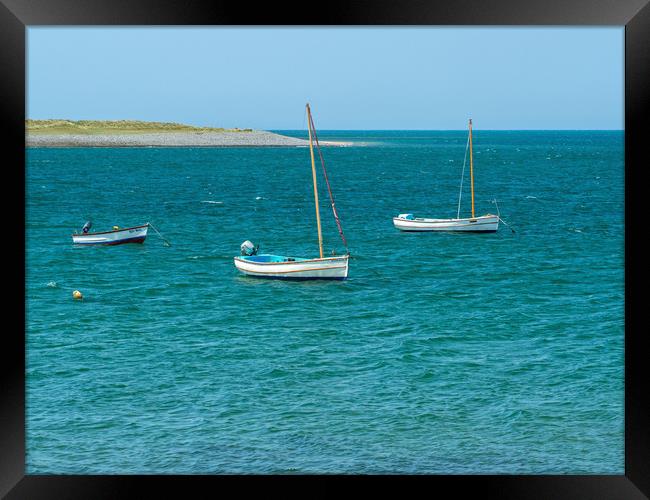 Boats moored at Appledore in North Devon Framed Print by Tony Twyman