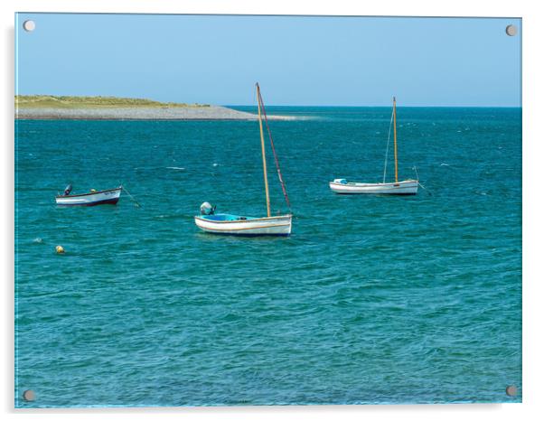 Boats moored at Appledore in North Devon Acrylic by Tony Twyman