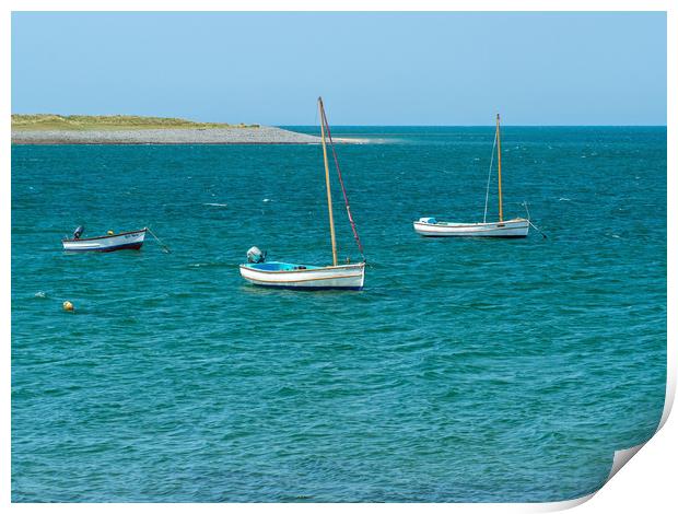 Boats moored at Appledore in North Devon Print by Tony Twyman