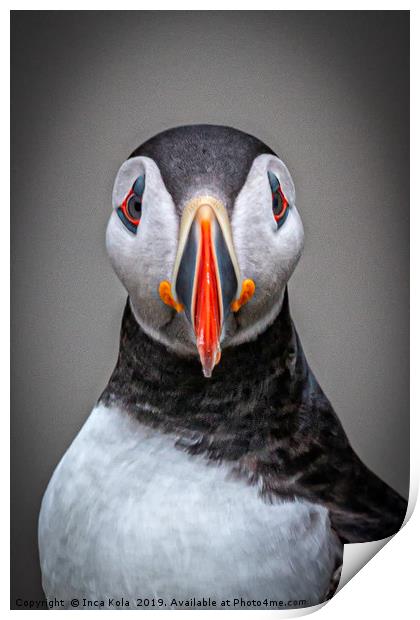Portrait of a Puffin  Print by Inca Kala