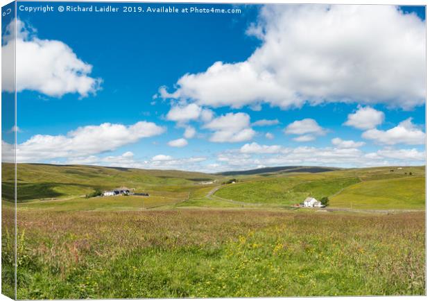 Harwood, Upper Teesdale - The Big Picture Canvas Print by Richard Laidler