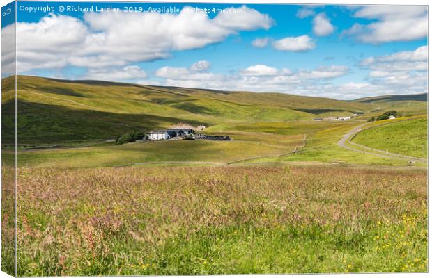 Stoney Hill Farm, Harwood, Upper Teesdale Canvas Print by Richard Laidler