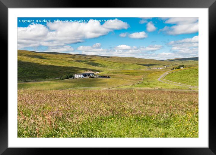 Stoney Hill Farm, Harwood, Upper Teesdale Framed Mounted Print by Richard Laidler