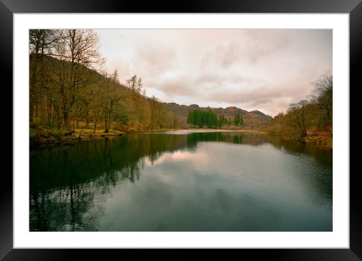 Yew Tree Tarn Framed Mounted Print by graham young