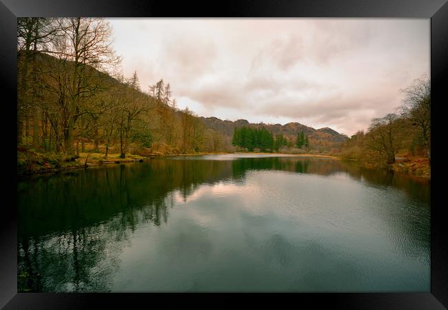 Yew Tree Tarn Framed Print by graham young