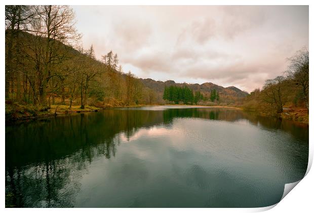 Yew Tree Tarn Print by graham young