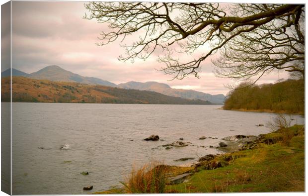 Coniston Water Canvas Print by graham young