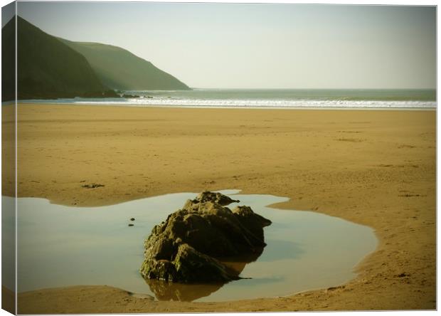 Rock Pool on Putsborough Beach Canvas Print by graham young