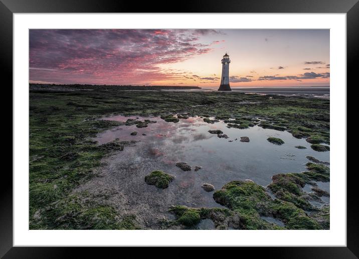 Rockpool Reflections Framed Mounted Print by Jed Pearson