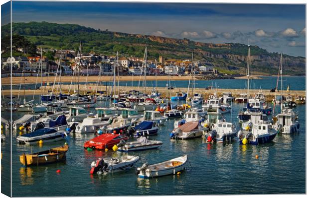 Lyme Regis Harbour & Seafront                    Canvas Print by Darren Galpin