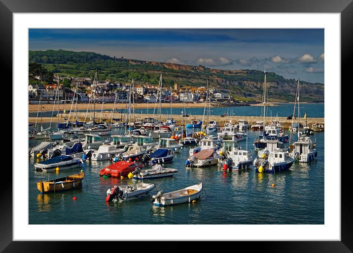 Lyme Regis Harbour & Seafront                    Framed Mounted Print by Darren Galpin